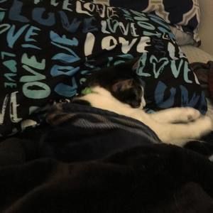 Meet your Posher, Cassandra